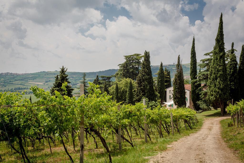 Вилла Massimago Wine Relais Mezzane di Sotto Экстерьер фото