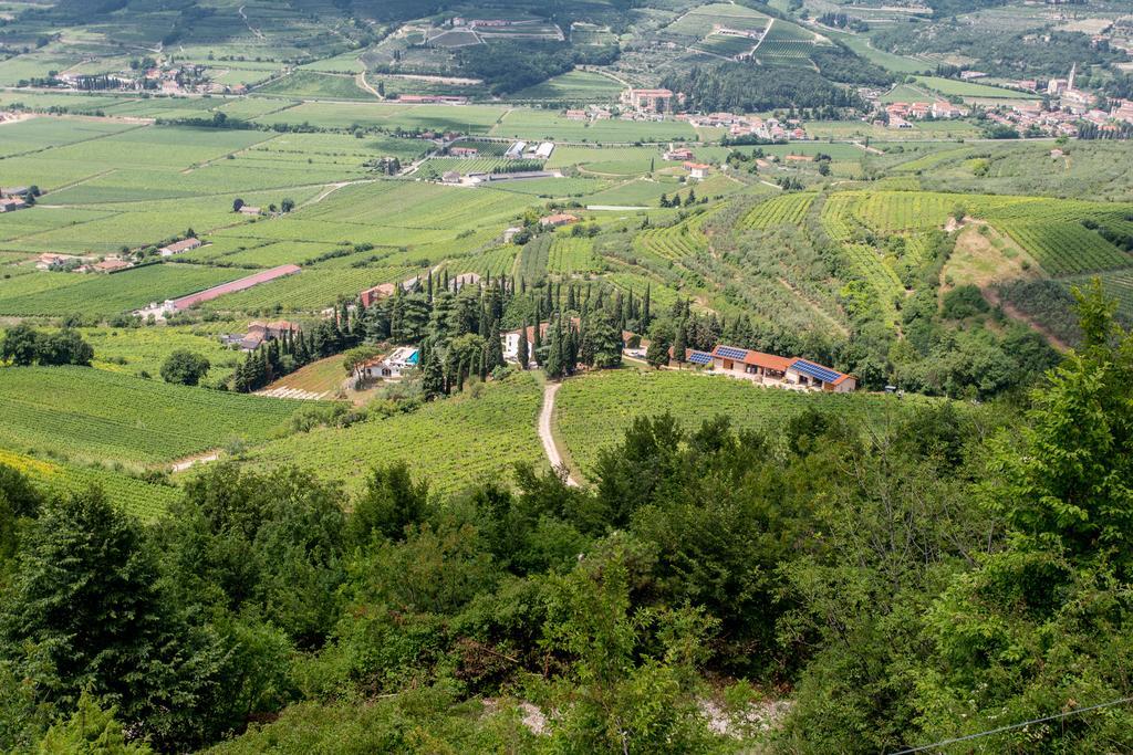 Вилла Massimago Wine Relais Mezzane di Sotto Экстерьер фото