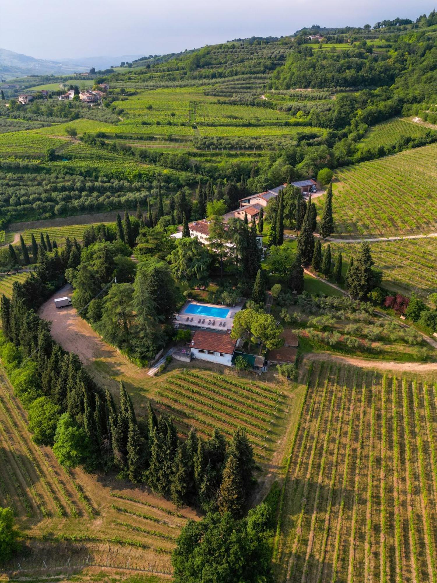 Вилла Massimago Wine Relais Mezzane di Sotto Экстерьер фото