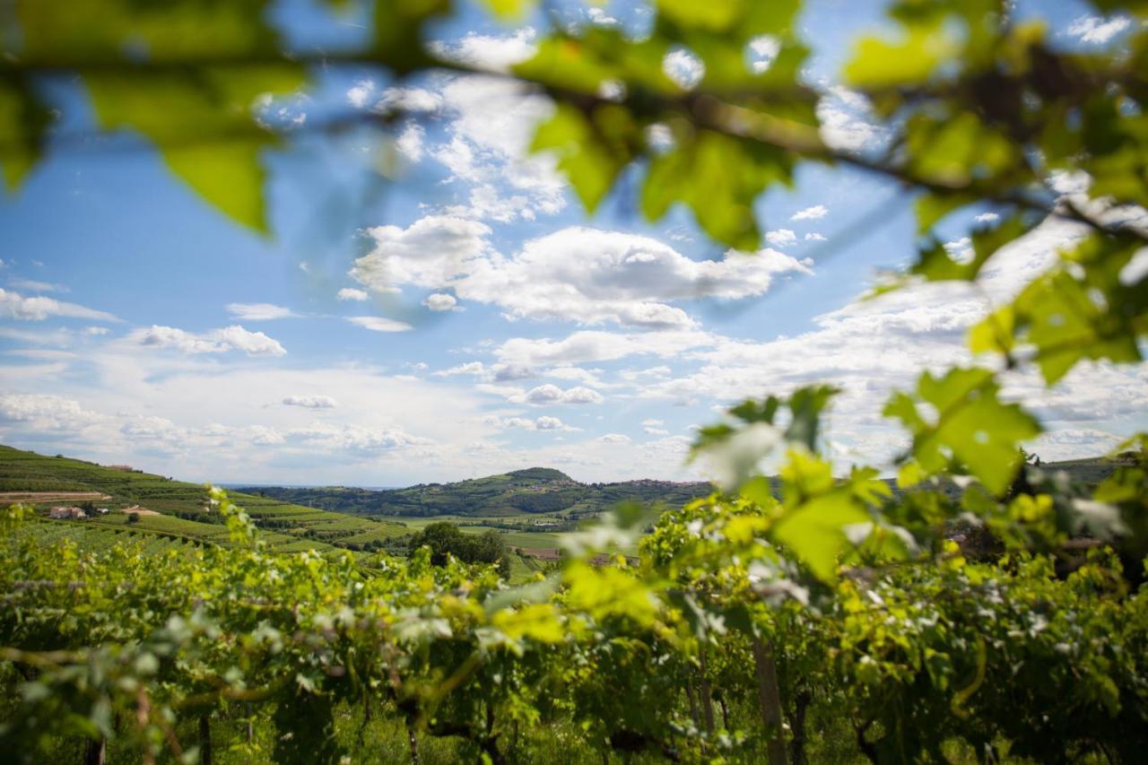 Вилла Massimago Wine Relais Mezzane di Sotto Экстерьер фото